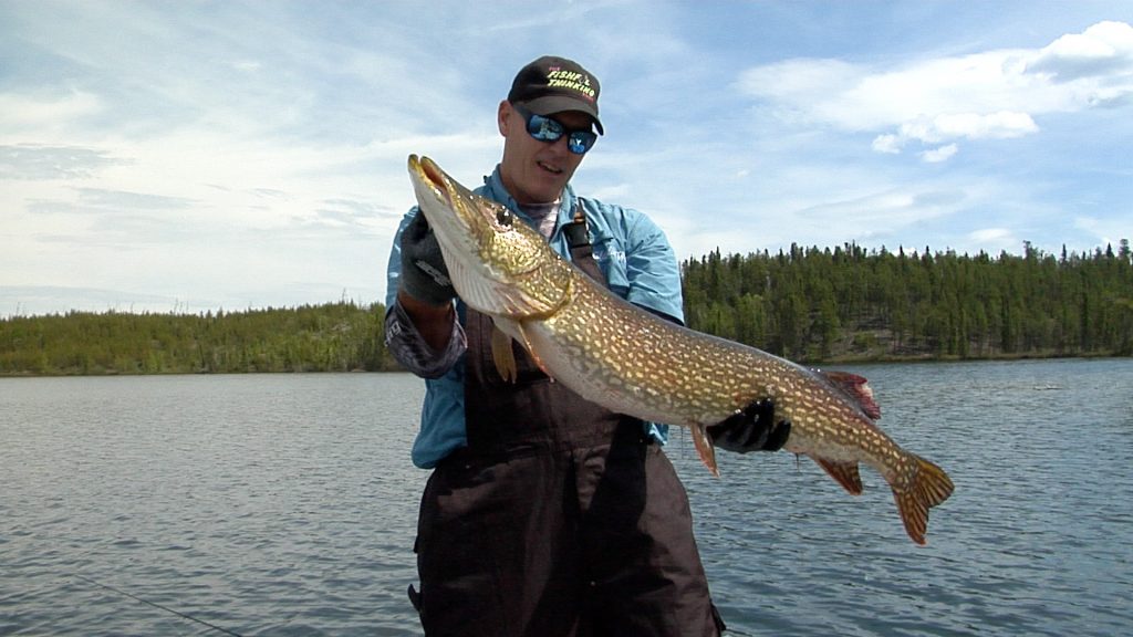Episode #381 One-Two Punch for Inactive Pike – Fishful Thinking