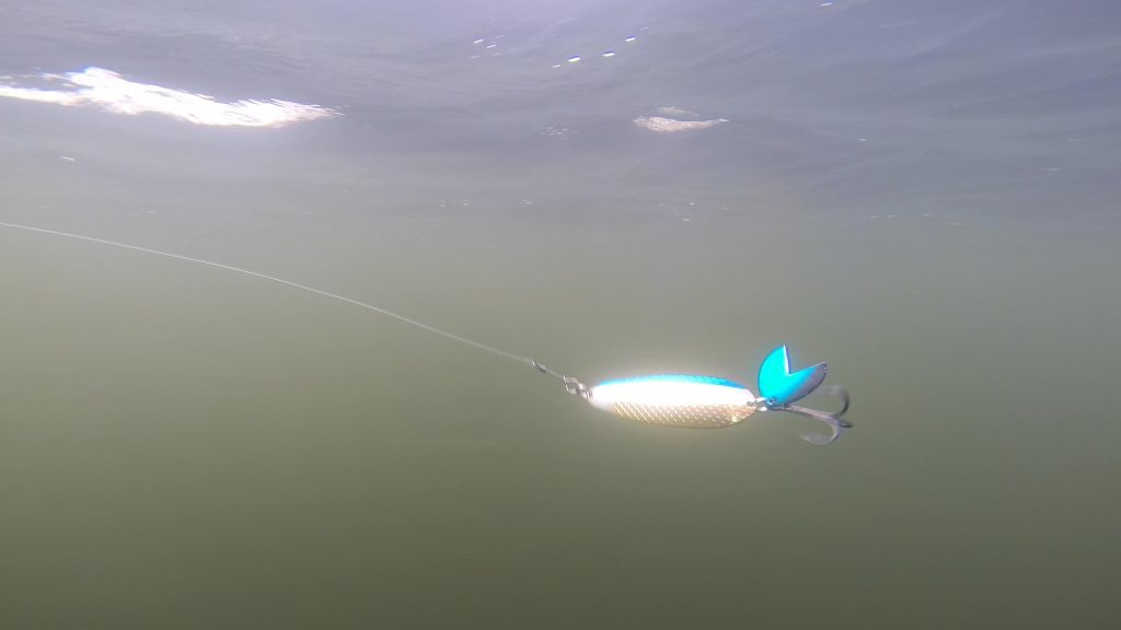 Fishing tip: Add scent, bait to lures for lakers, salmon